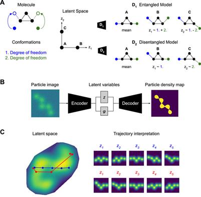 Towards interpretable Cryo-EM: disentangling latent spaces of molecular conformations